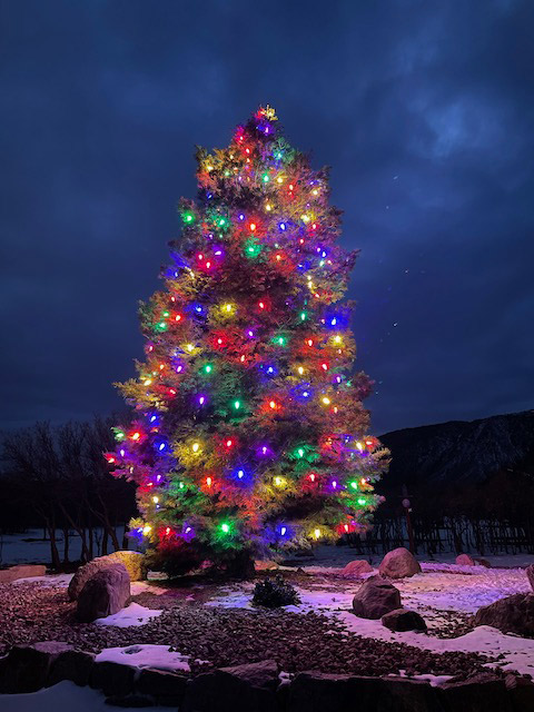 Christmas-Tree-Fully-Decorated-With-A-Raindow-Of-Colored-Lights