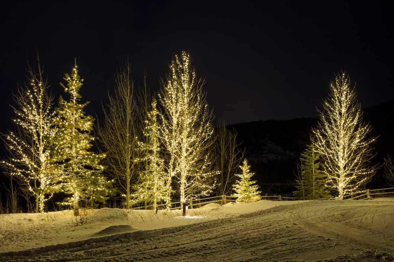 Glowing-Yellow-Trees-For-Christmas