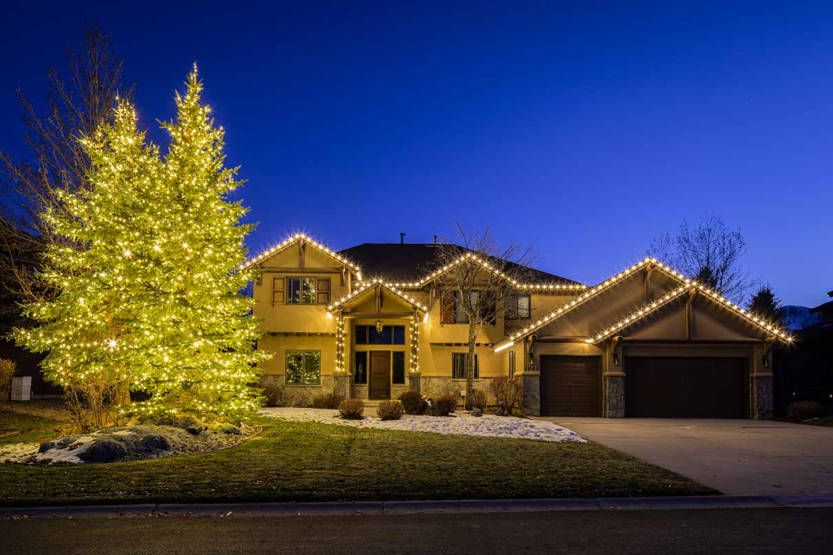Beautiful-Glowing-Christmas-Trees